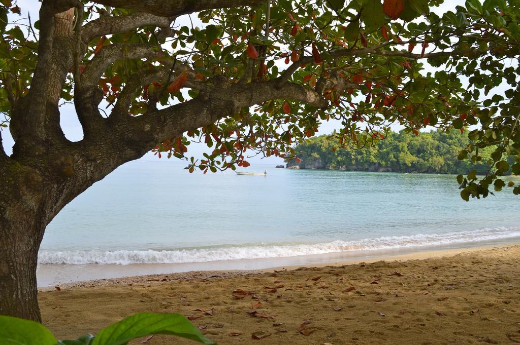 Kaz Kreol Beach Hotel Ocho Rios Kültér fotó